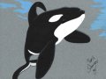 cs-keiko-orca-sm.jpg